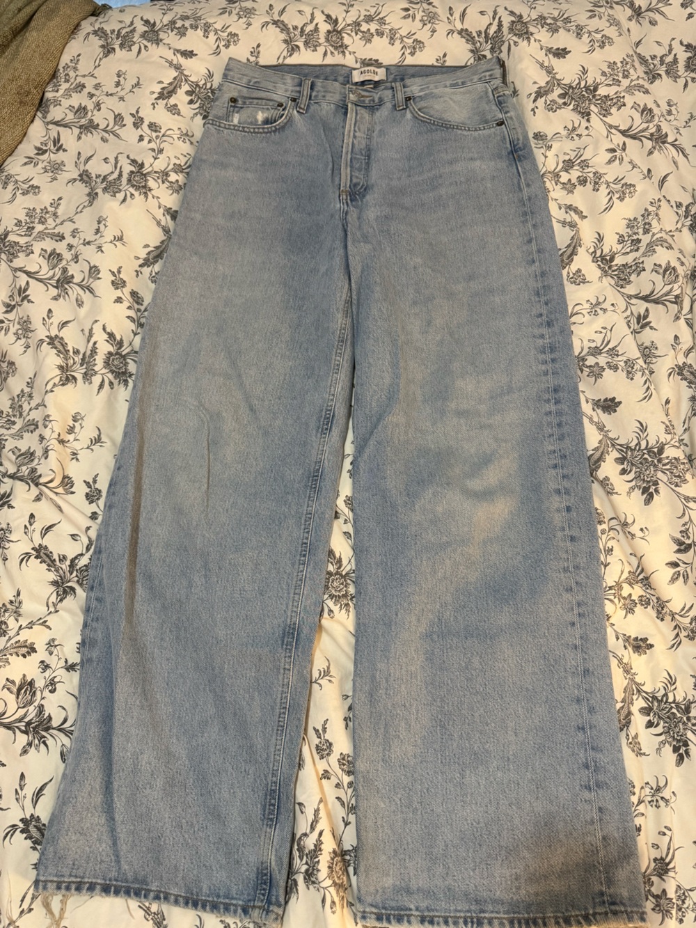 Agolde Low Slung Baggy Jeans